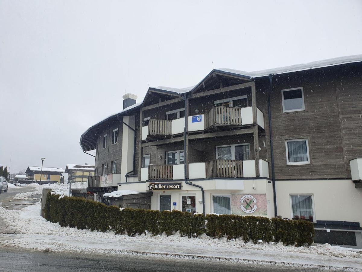 Apartment Lasch In Adler *