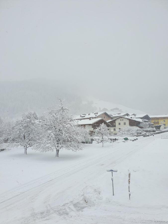 Lasch In Adler *