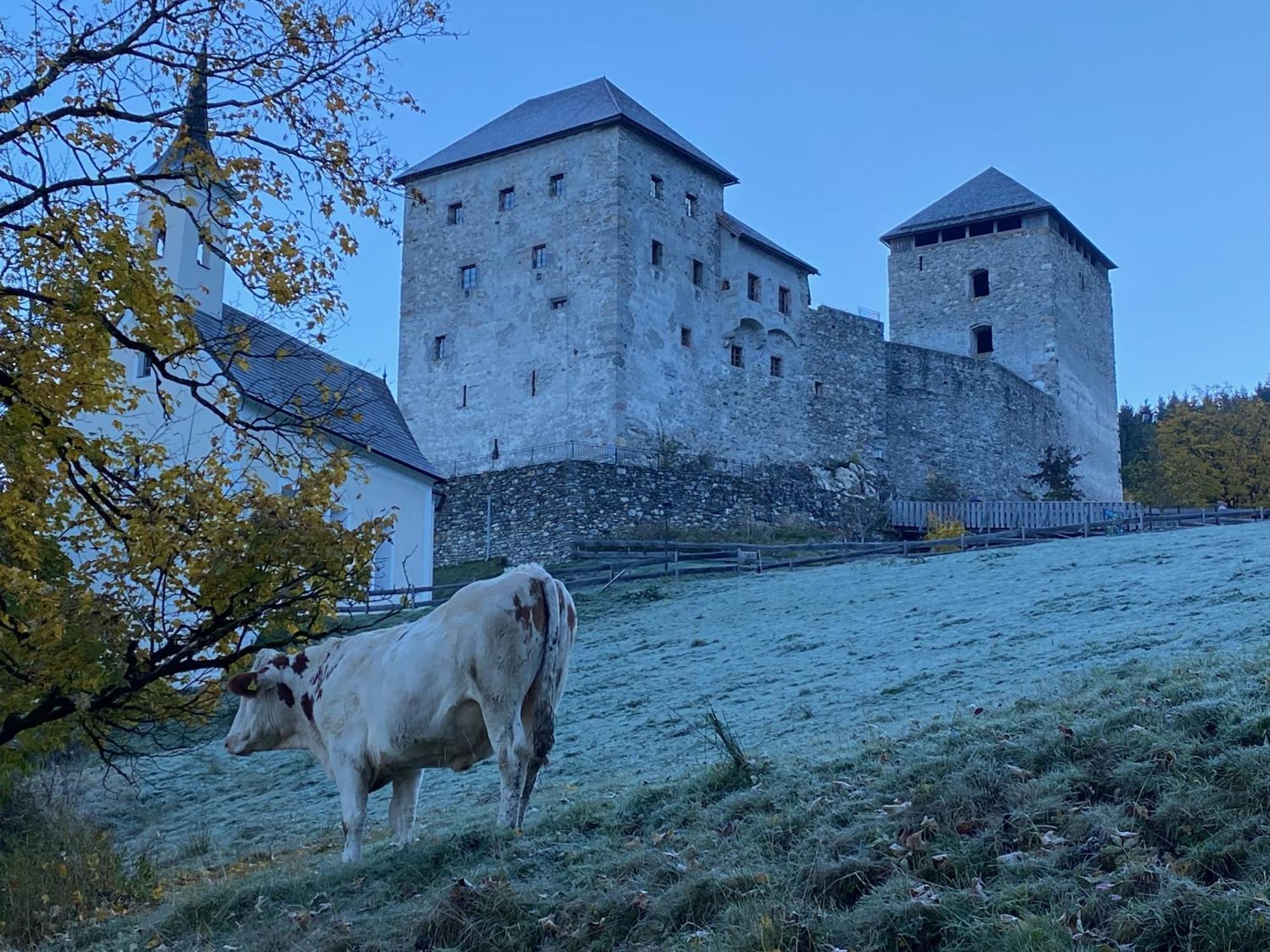 Lasch In Adler *