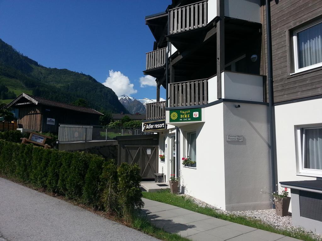 Apartment Lasch In Adler