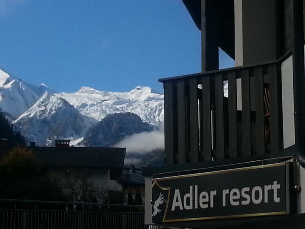 Lasch In Adler *